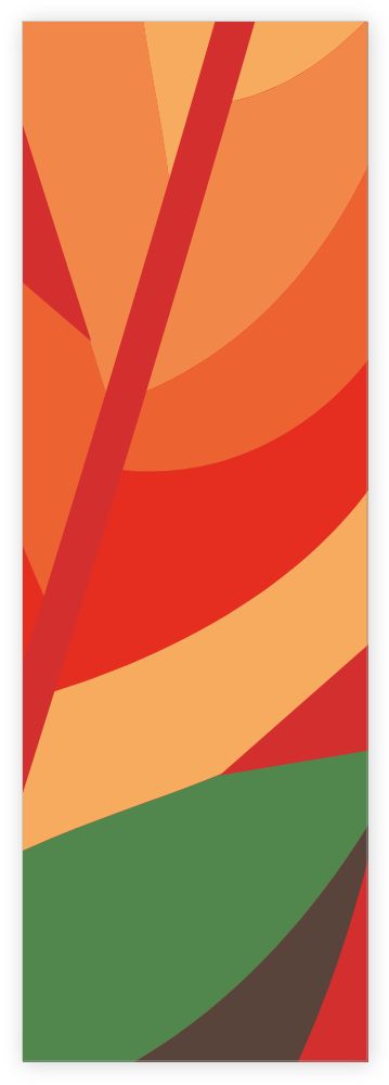 2  x 6 in Bookmarks